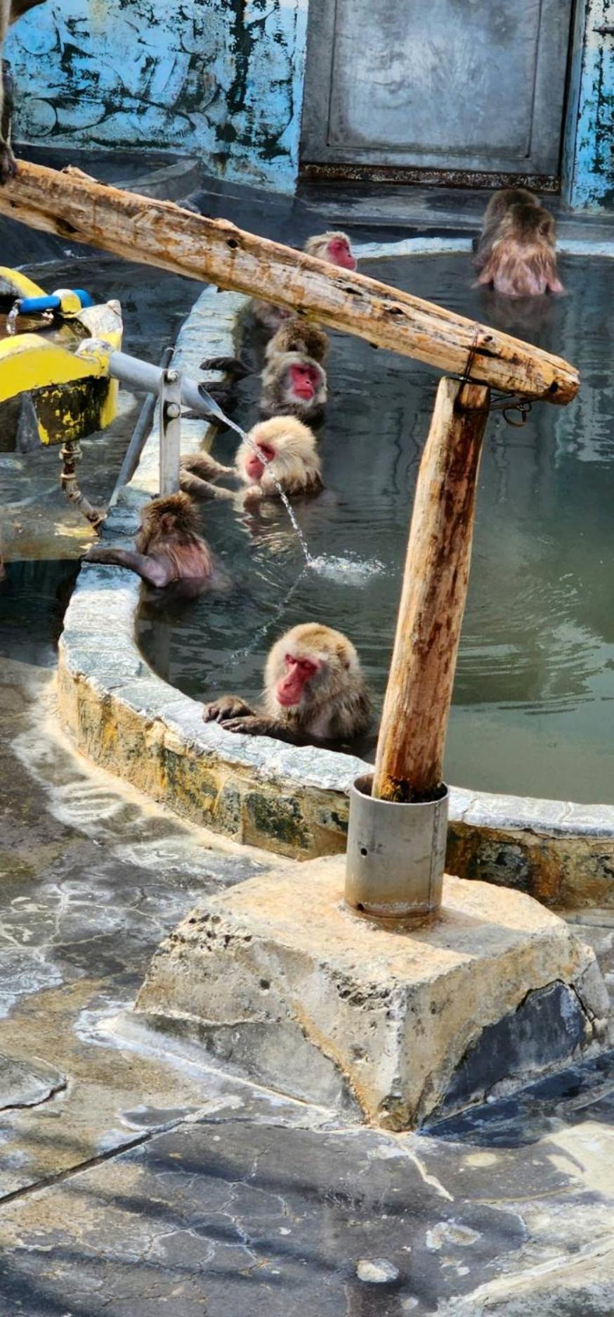האקודאטה Yunohama Hotel מראה חיצוני תמונה